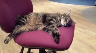 the spitfire club, tourist  gallery image 10