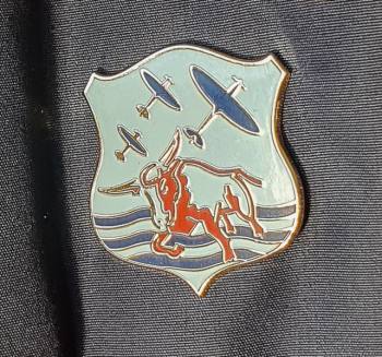 Squadron Pin